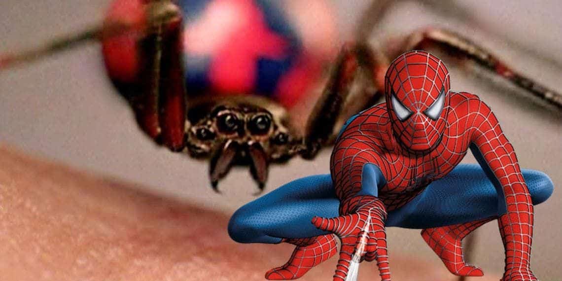 The Mysterious Spider That Bit Peter Parker Unraveling the Origin of Spider-Man